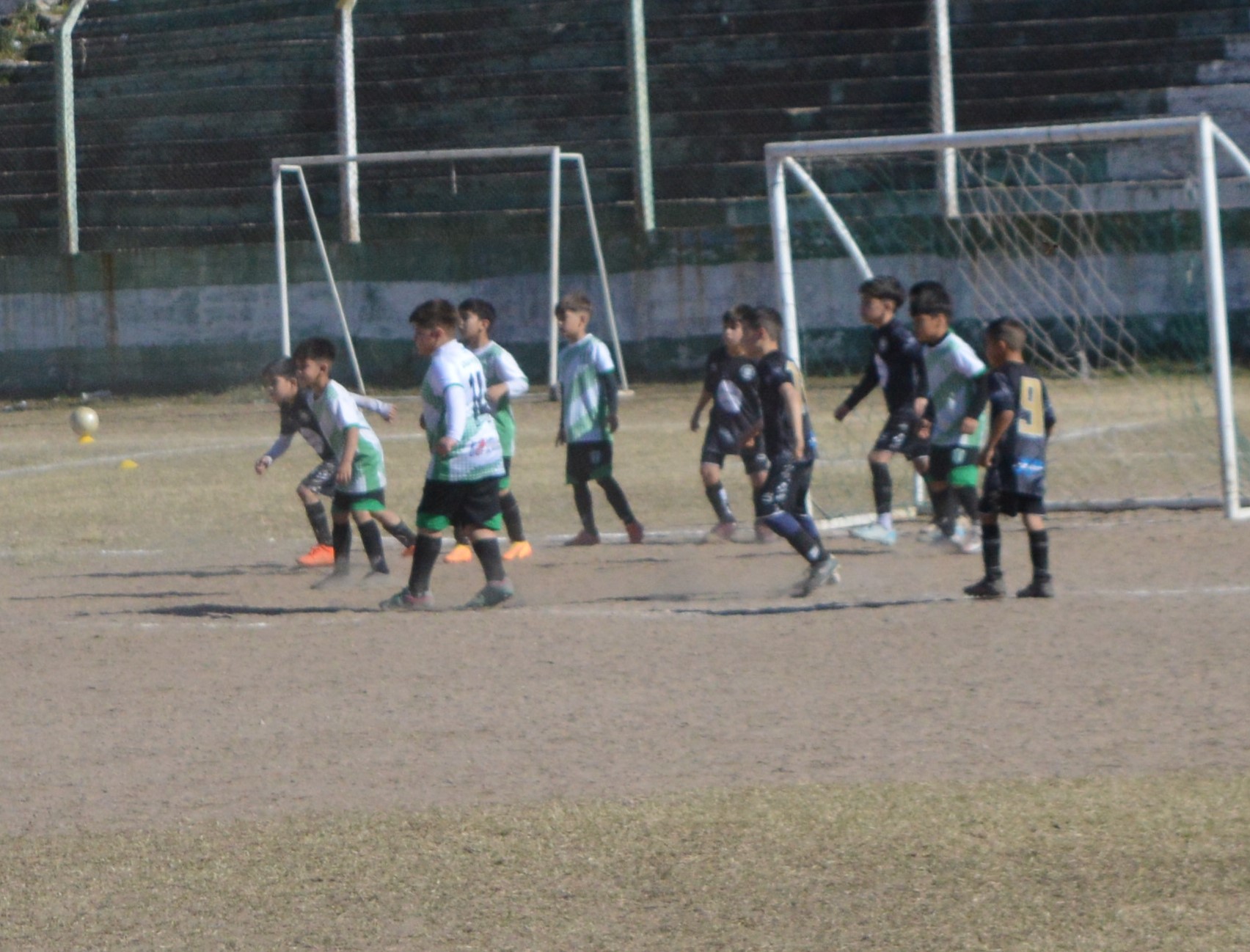 Imagen 2